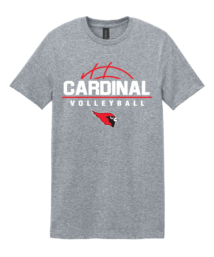 BA Volleyball Tee - Sport Grey (adult and youth)