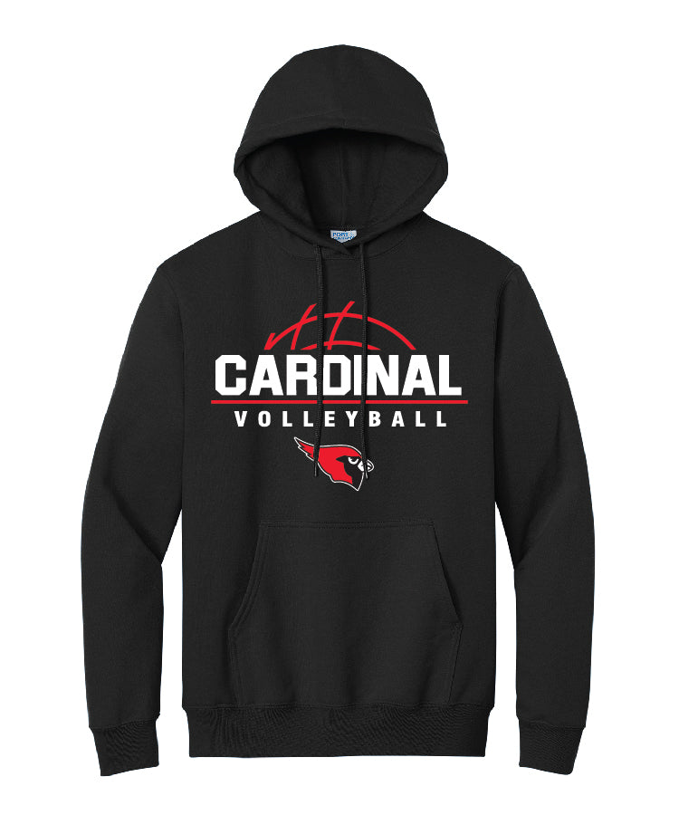 BA Volleyball Team Hoodie - Black (adult and youth)