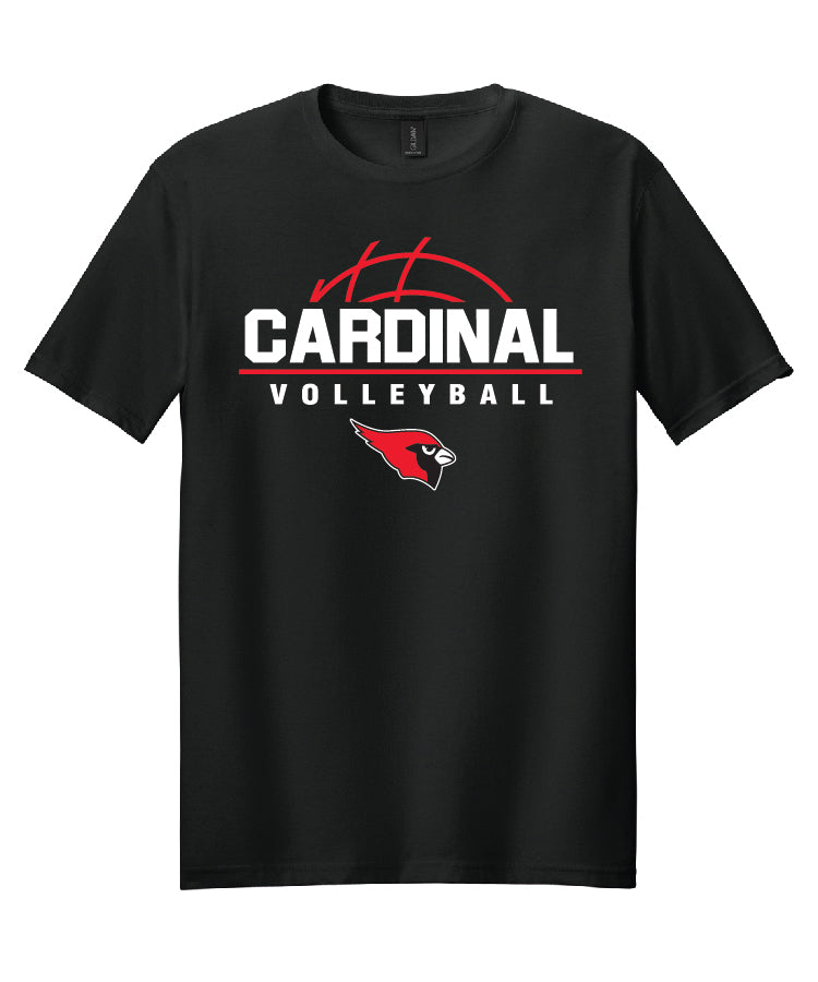 BA Volleyball Tee - Black (adult and youth)