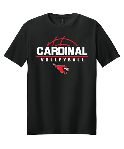 BA Volleyball Tee - Black (adult and youth)