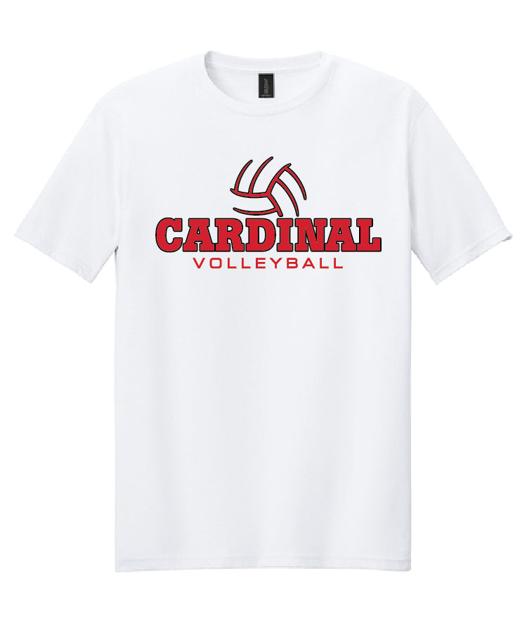 BA Volleyball Tee - White (adult and youth)