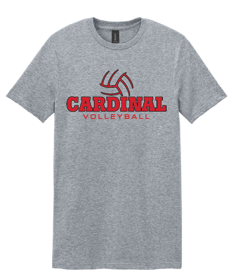 BA Volleyball Tee - Sport Grey (adult and youth)