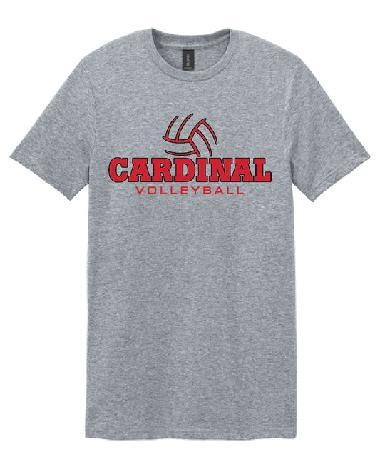 BA Volleyball Tee - Sport Grey (adult and youth)