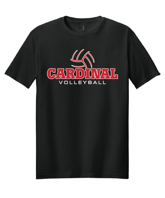 BA Volleyball Tee - Black (adult and youth)