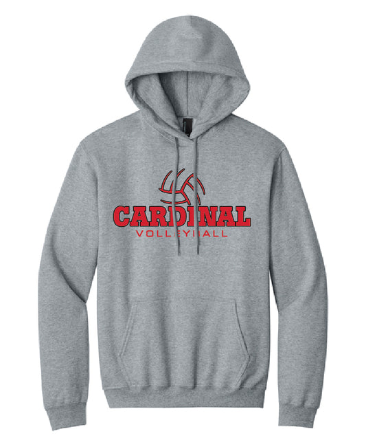 BA Volleyball Team Hoodie - Athletic Heather (adult and youth)