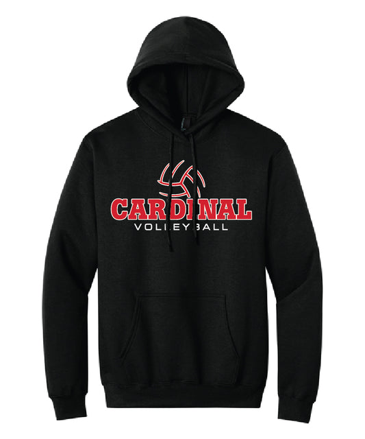 BA Volleyball Team Hoodie - Black (adult and youth)