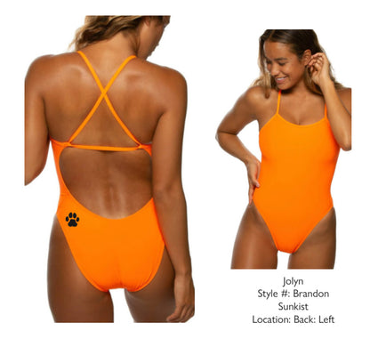 Girls Swim and Dive Booster
