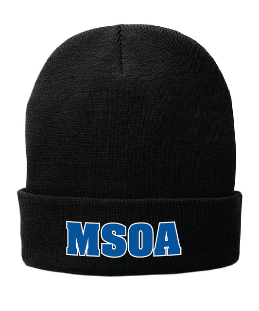 Stocking Cap