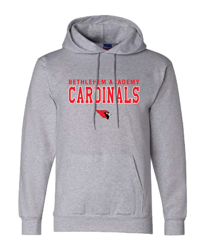 BA Champion Hoodie.